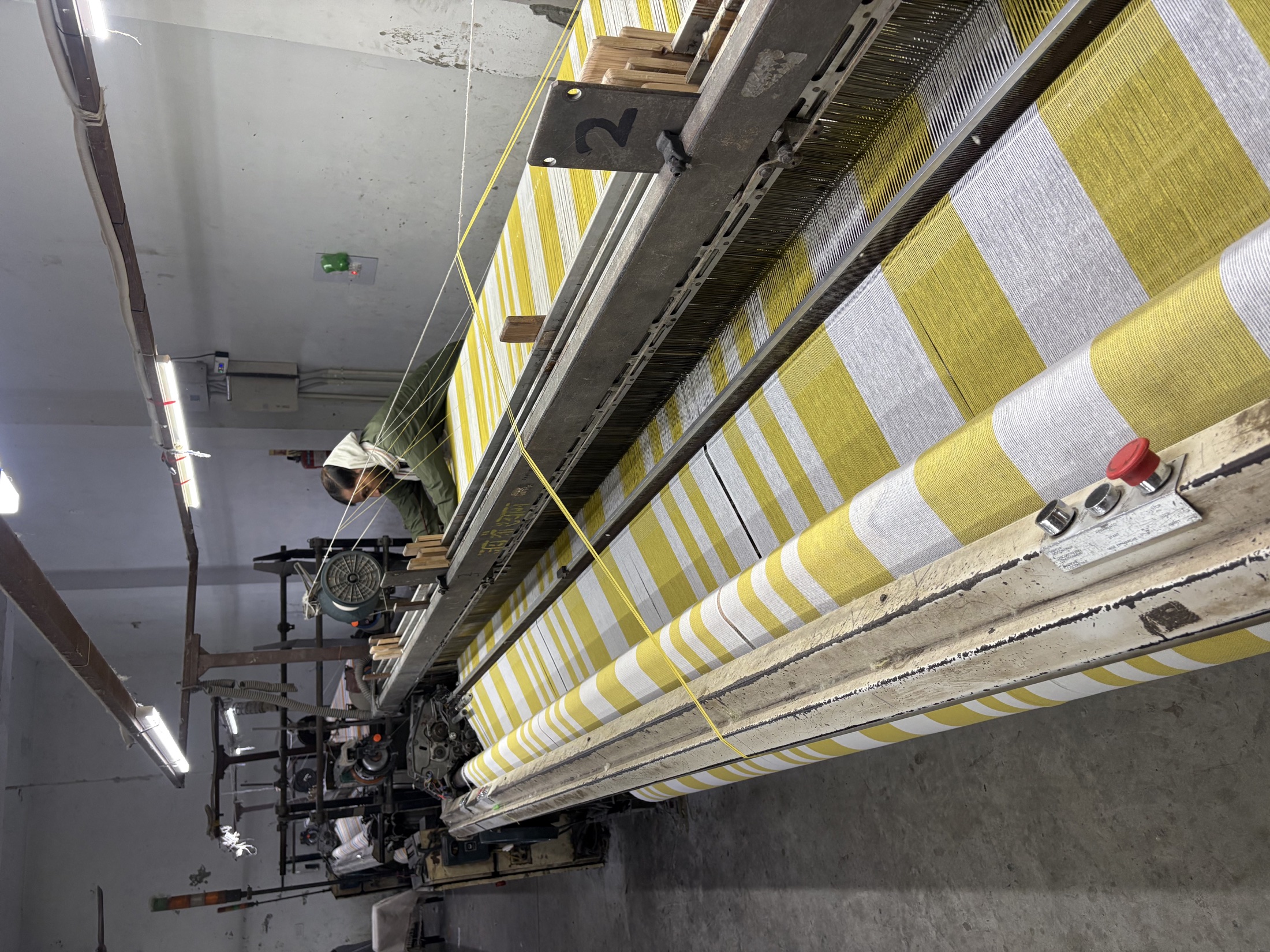Dobby and powerloom weaving